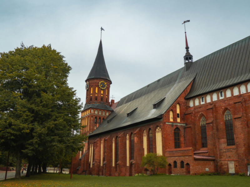 Sale of discounted flights from Kaliningrad